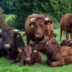 Familienportrait.