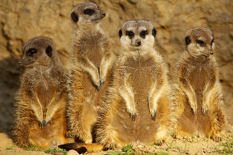 Familienportrait