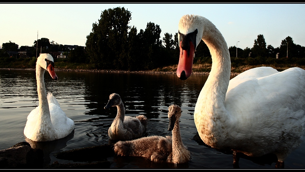 Familienportrait