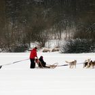 Familiensausflug mit Anhänger 2 *g