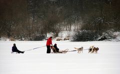 Familiensausflug mit Anhänger 2 *g