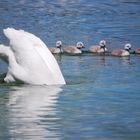 Familienschwimmen