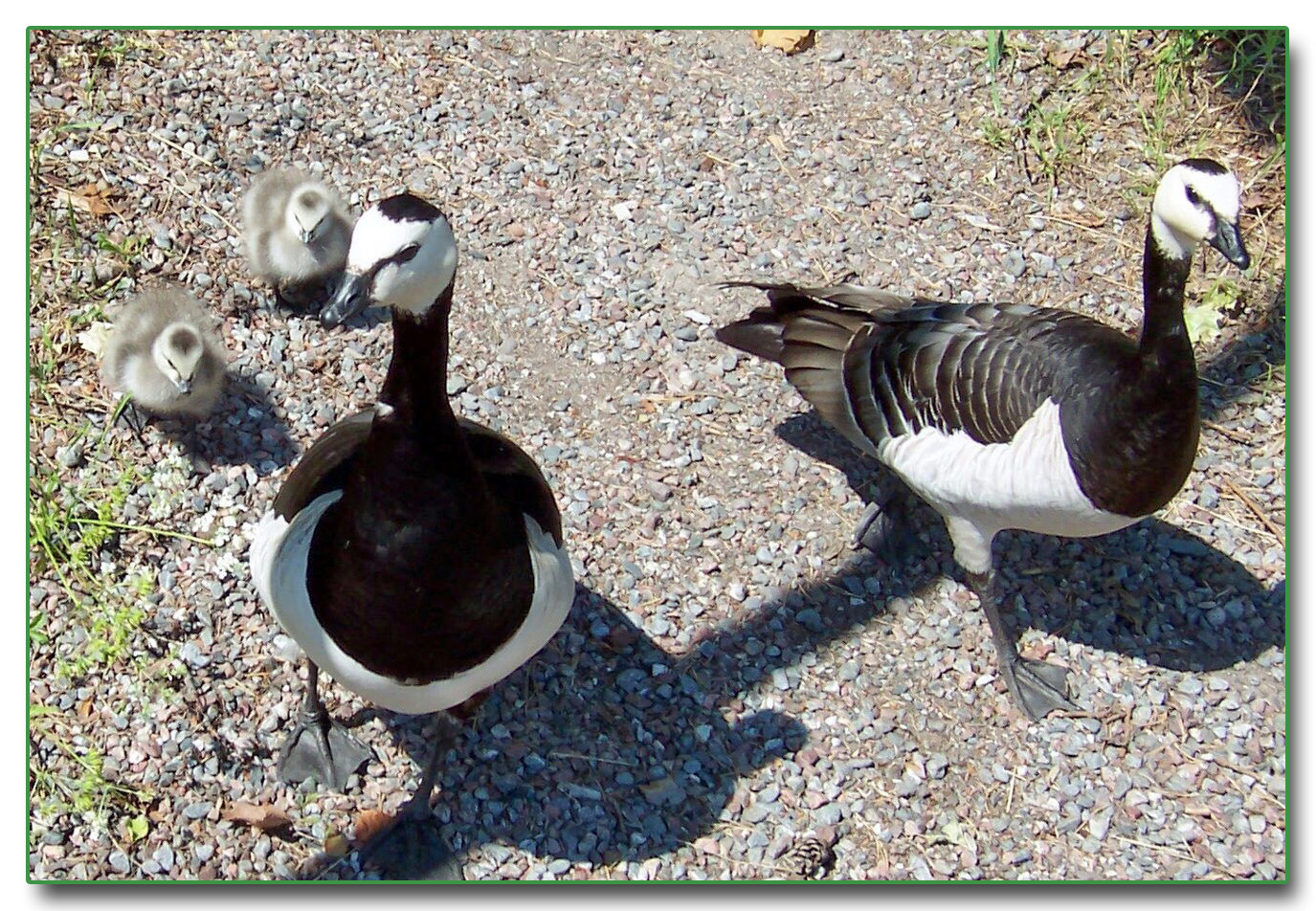 FAMILIENSPAZIERGANG