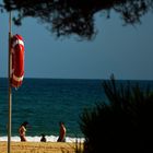 Familienstreit am Strand