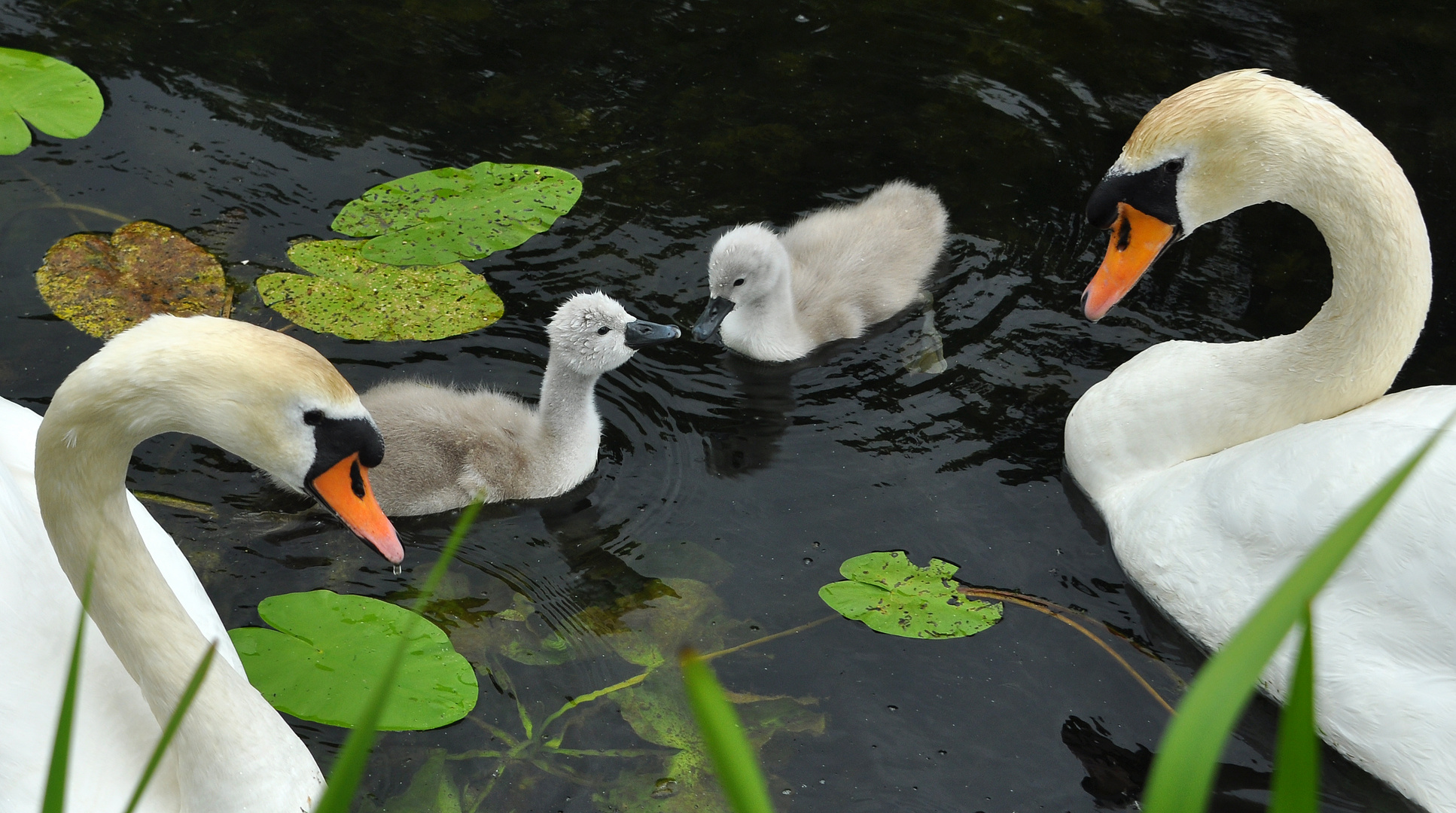 Familientag