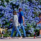 Familientag in blau