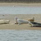 Familientreffen auf Sylt !!!!