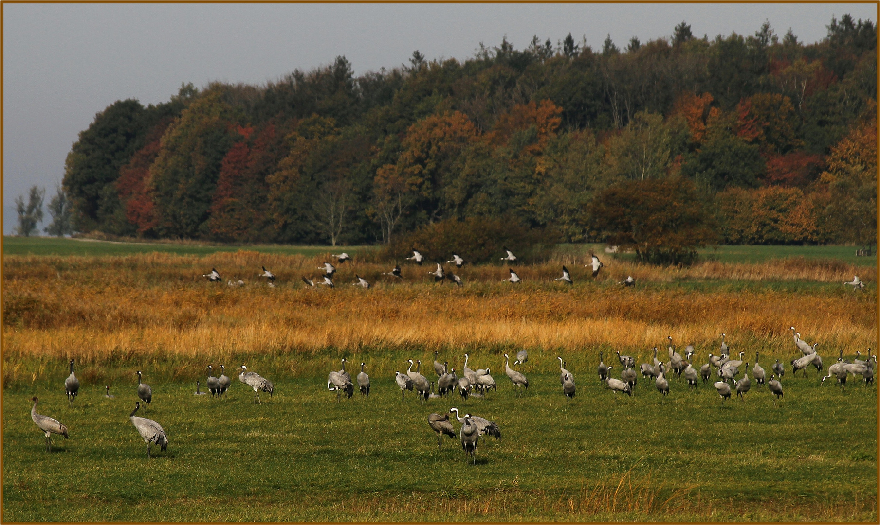 Familientreffen im Herbst