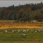 Familientreffen im Herbst