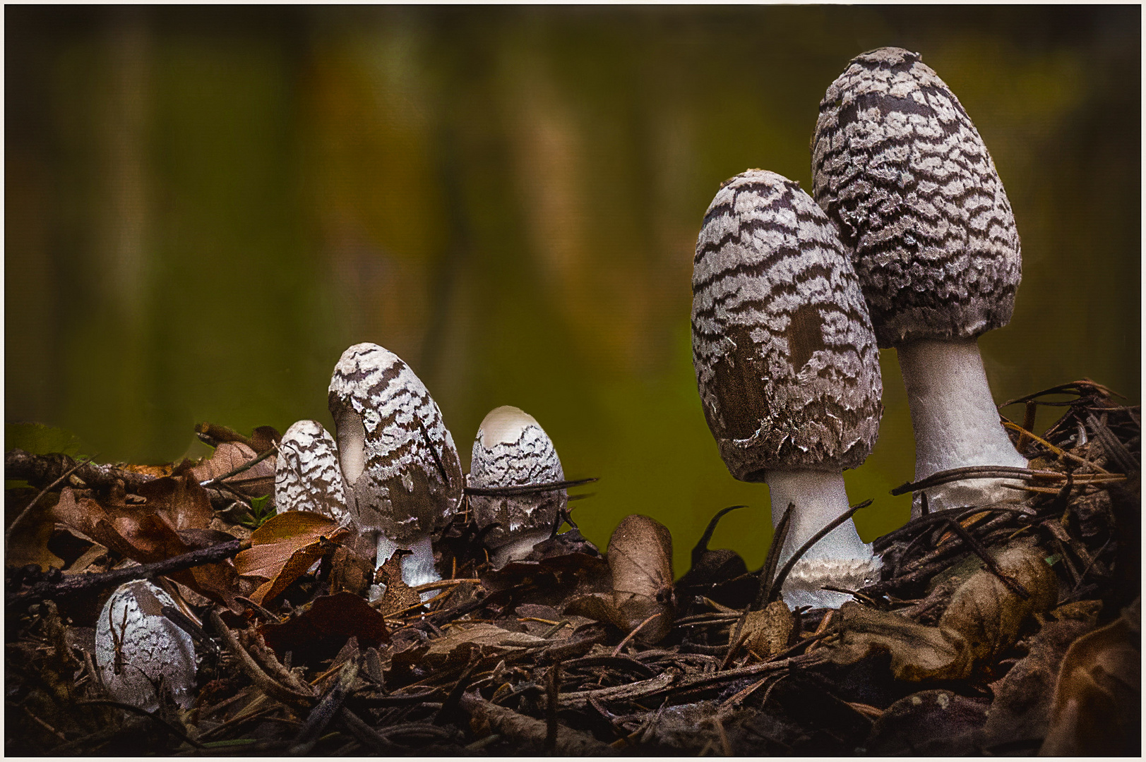 Familientreffen im Herbstlaub