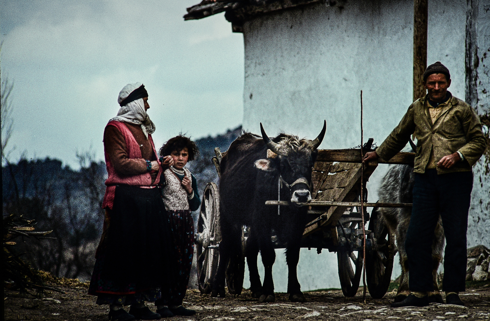 Familienunternehmen.                                .DSC_3201