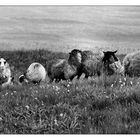 familiy portrait