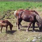 ..Famille..