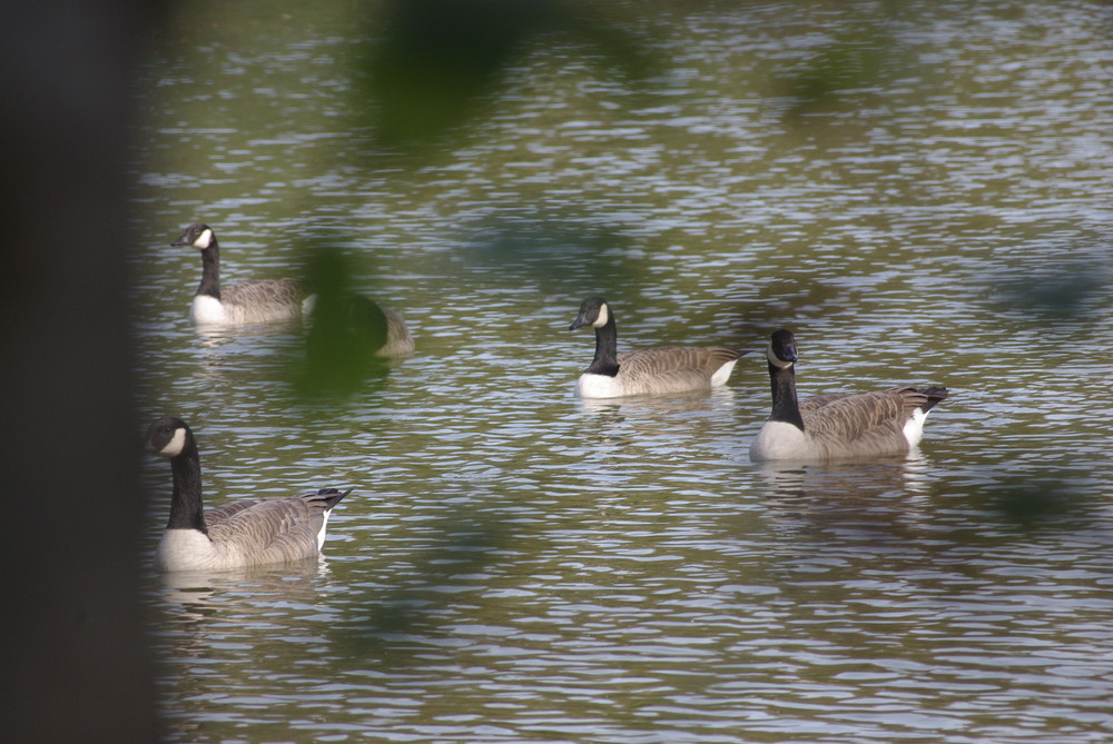 Famille en balade