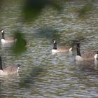 Famille en balade