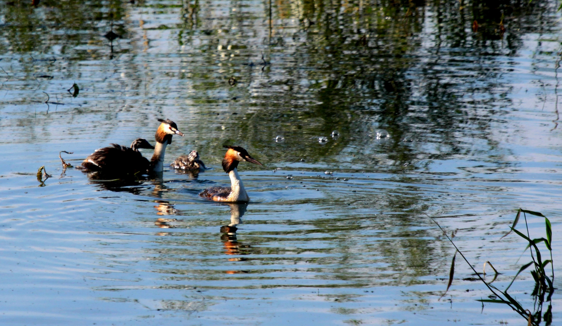 famille en ballade