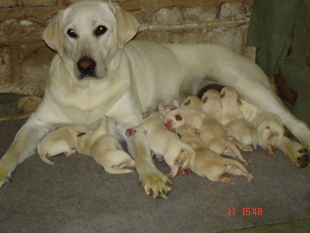 Famille nombreuse.