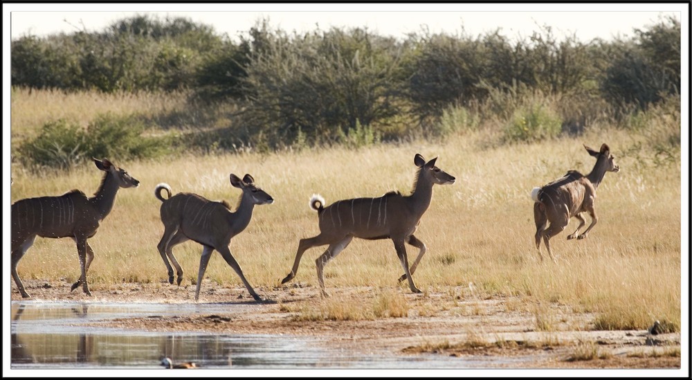 Famille nombreuse