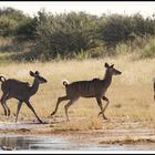 Famille nombreuse