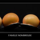 Famille nombreuse