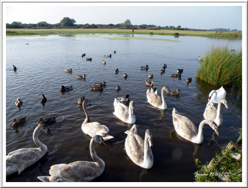 Famille nombreuse