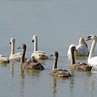 Famille nombreuse !!!!   les ados en balade  -:)))