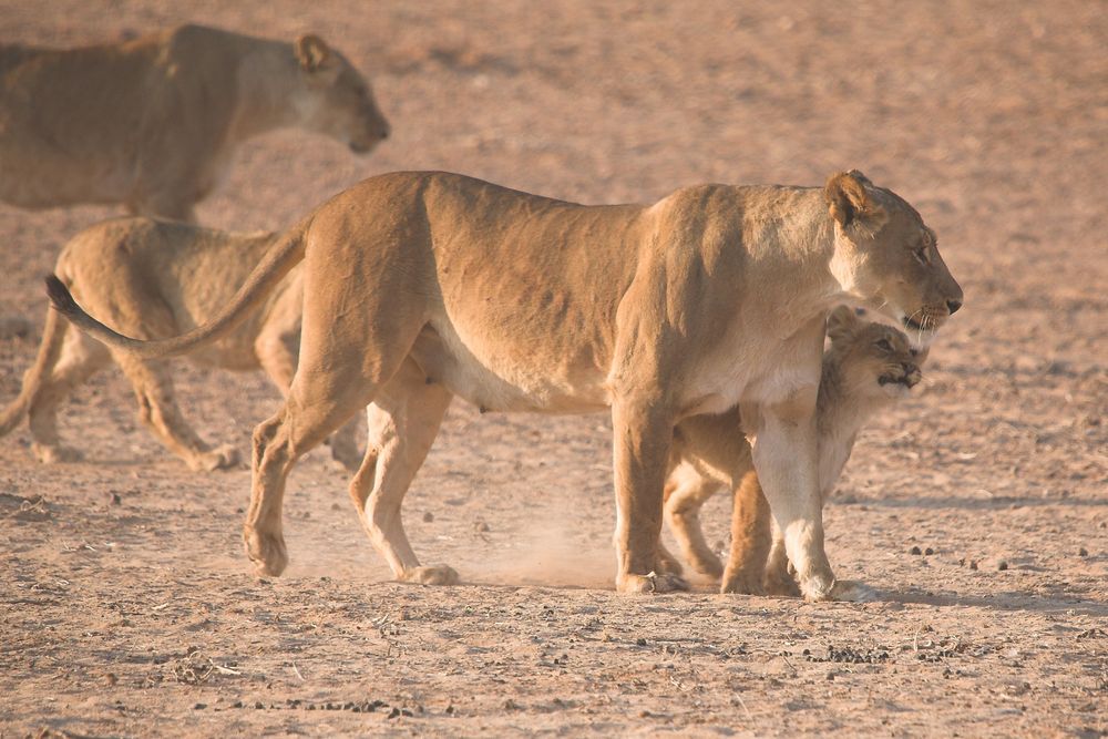 Family von Richard Lepen 