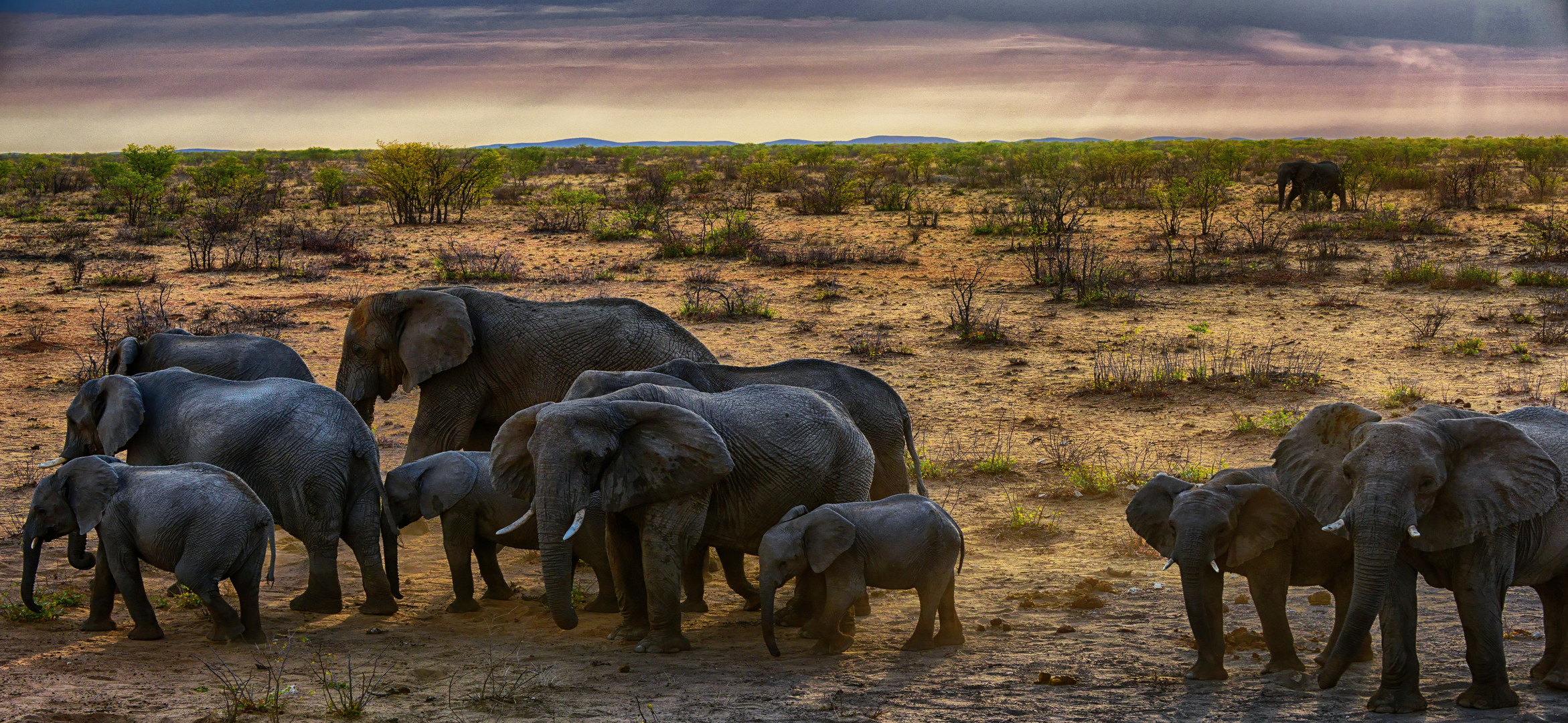 FAMILY ASSOCIATION IN THE EVENING LIGHT