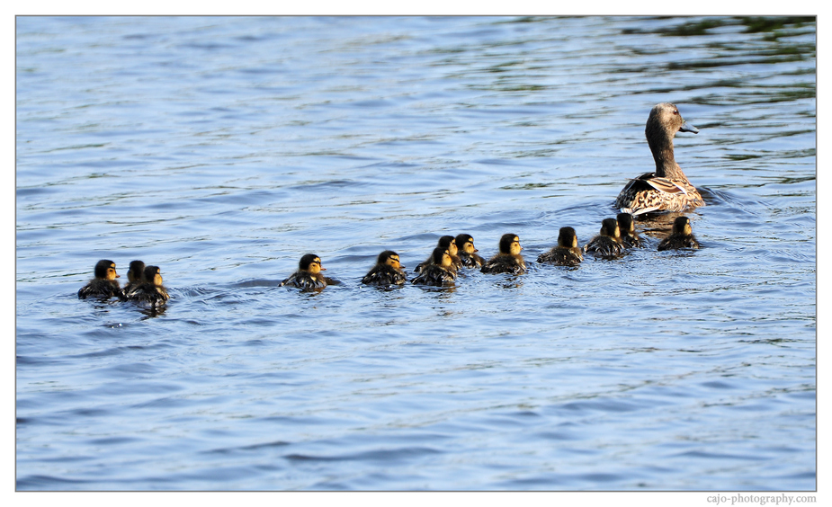 Family Day