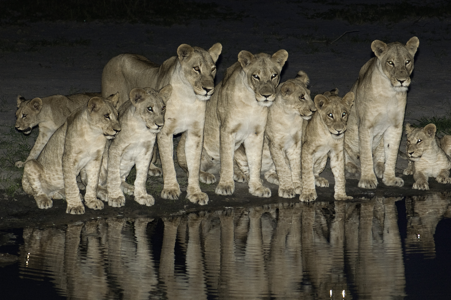 Family Drinking