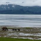 Family of Four