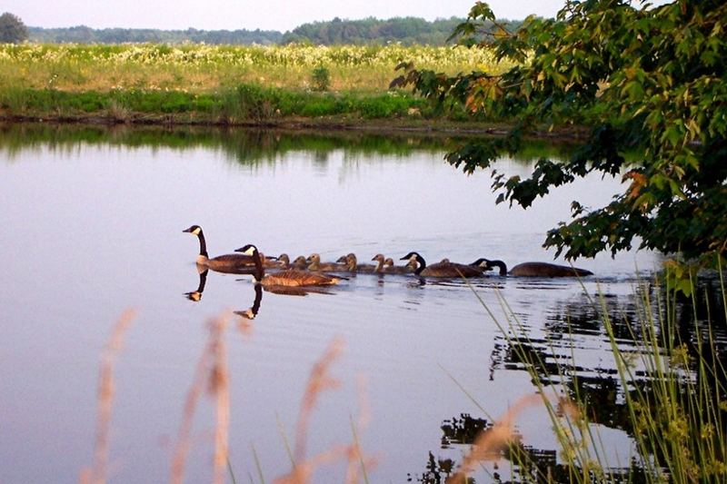 Family outing