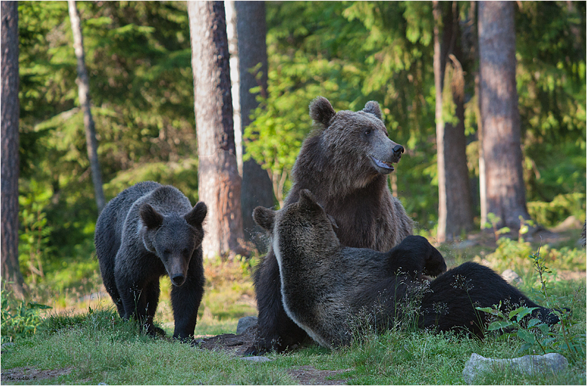 Family outing