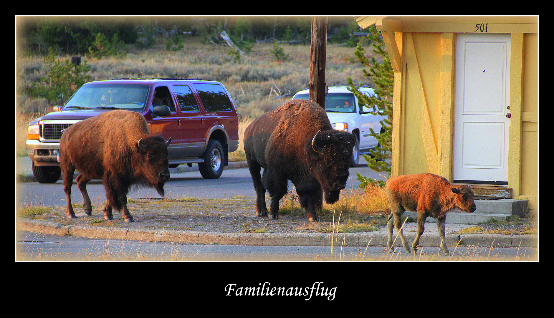 Family outing