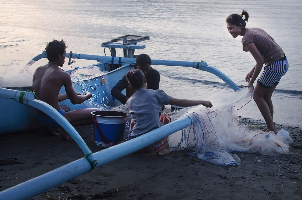 Family picking the fish from the net at dusk