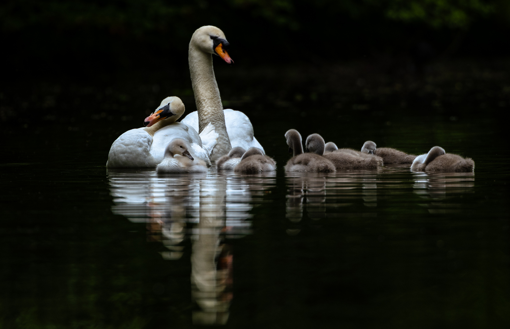 family portrait