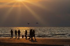 - Family Time on the Beach -