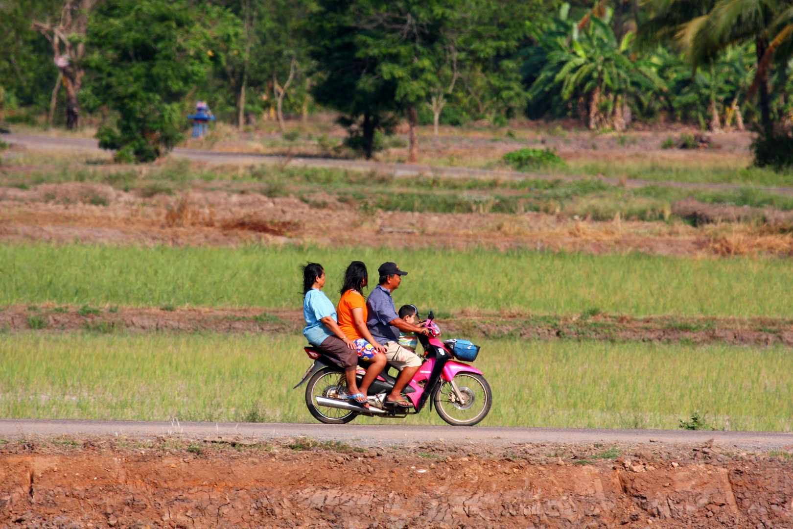 Family Transport