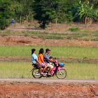 Family Transport