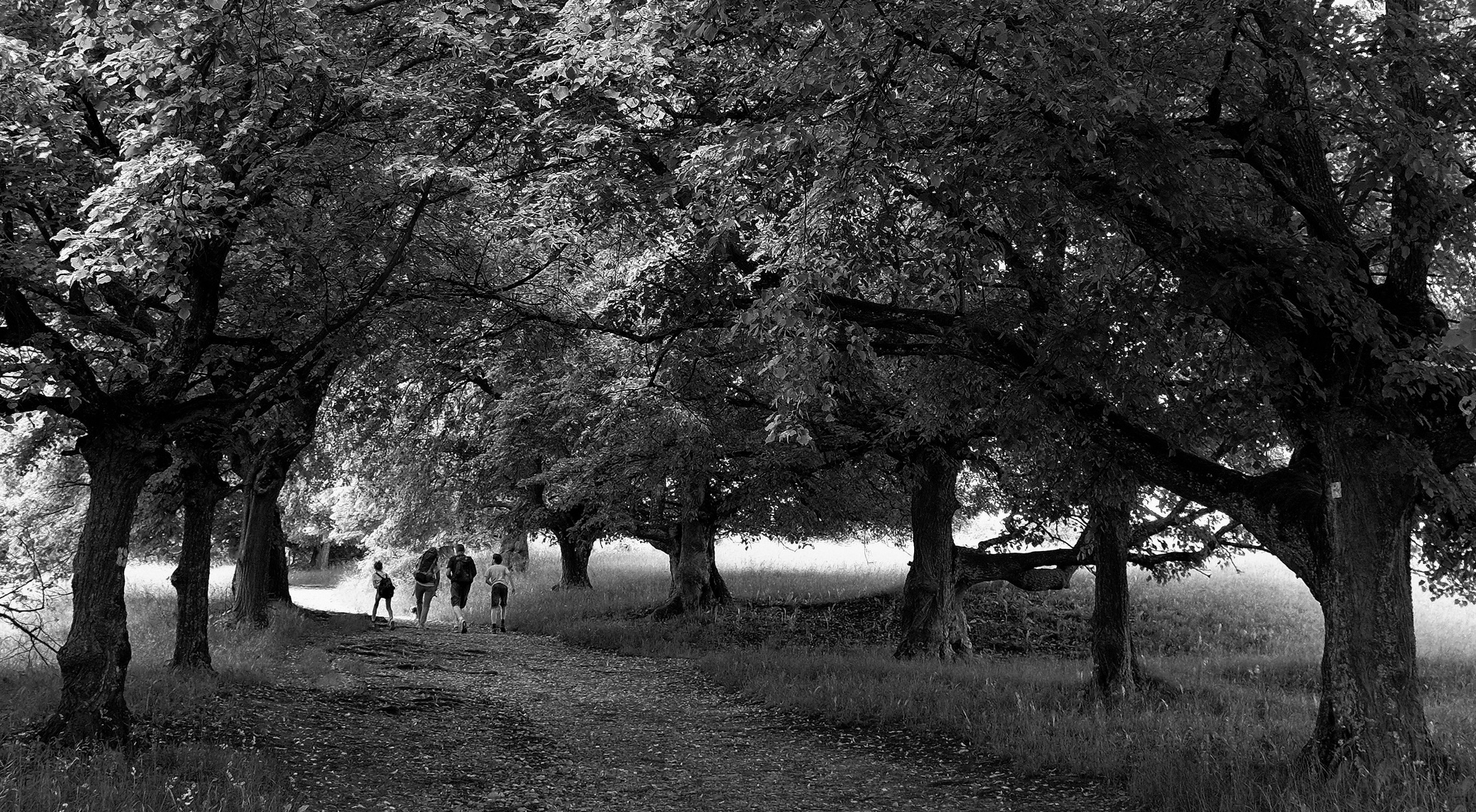 Family Walk