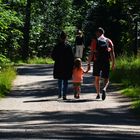 Family walk on forest way