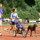 Familyrun mit Babyjogger und Hund beim Lübeck Marathon 2002