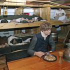 Famine Passengers from Ireland in the potato blight