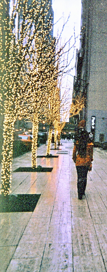 FAMOUS ACTRESS WALKING A NEW YORK STREET IN THE SNOW