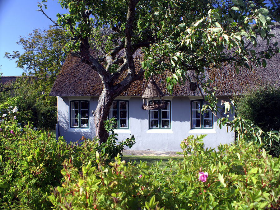 Fanø 2009 - Sønderho