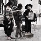 fan club of the small musician