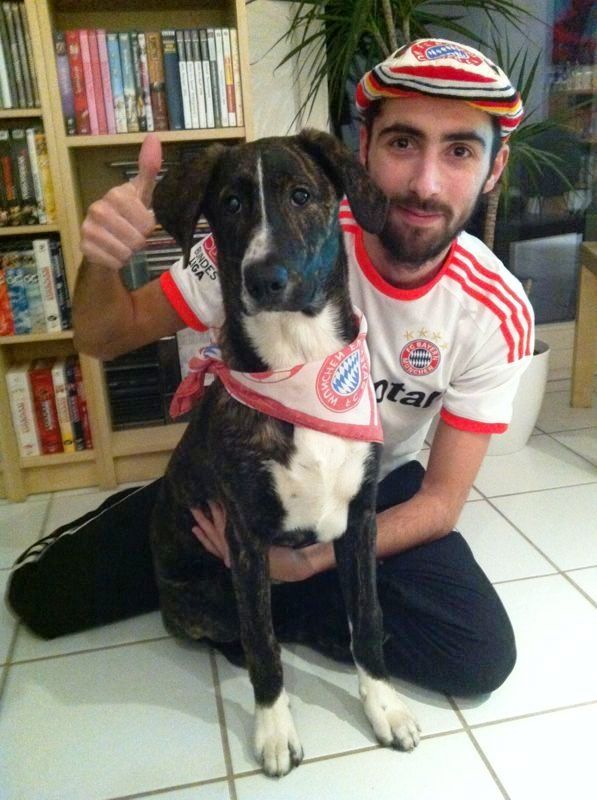 Fan Duo FC Bayern München