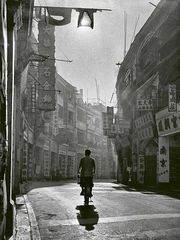 Fan Ho -