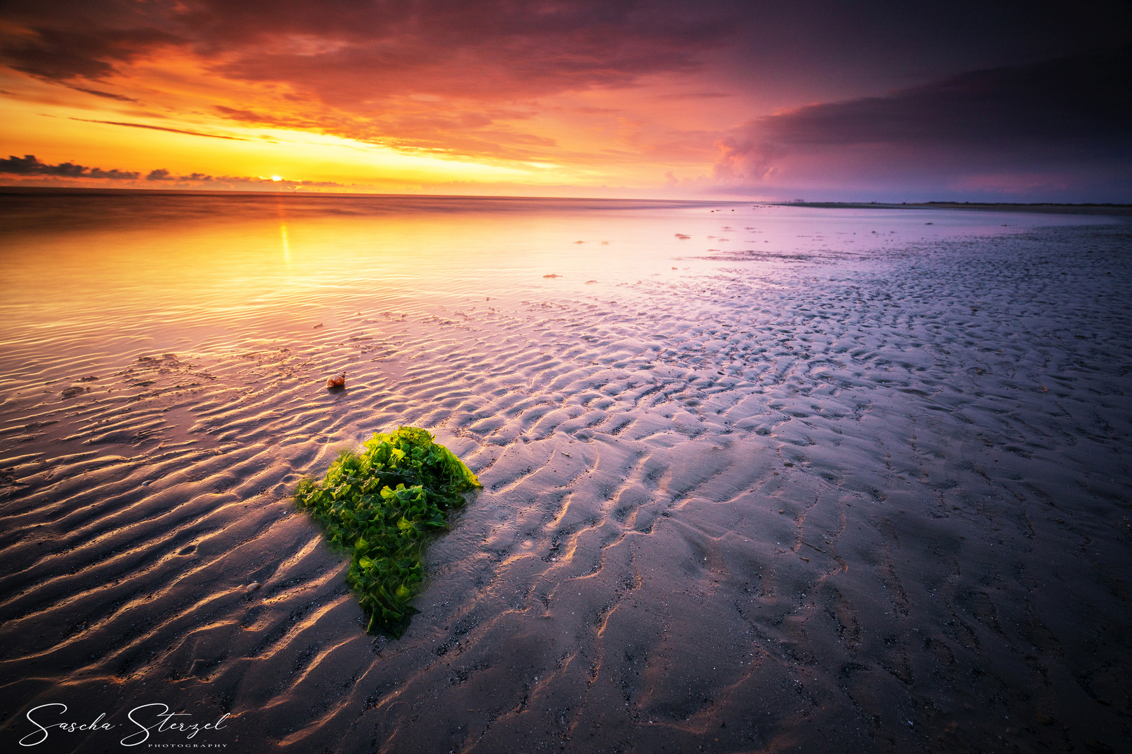 Fanø Sunset