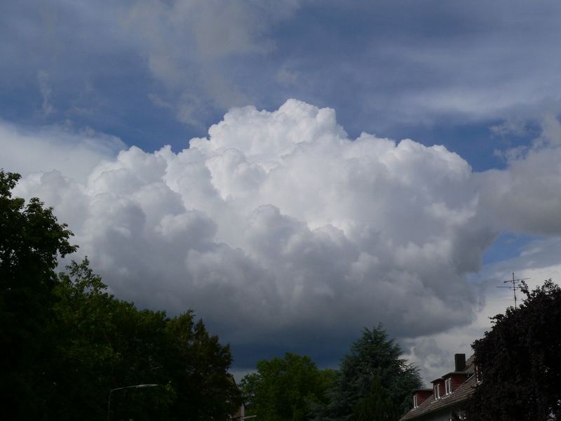 Fand die Wolke irgendwie nett...